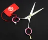 521 5039039 Brand Purple Dragon Professional Hairdressing Scissors JP 440C Home Salon Barber039s Cutting Scissors3956304