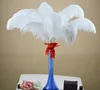 Nieuwe Struisvogelveren Pluim Middelpunt voor Bruiloft Tafeldecoratie natuurlijk wit (Vele maten om uit te kiezen)