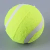 Intero NUOVO arrivo 2016 NUOVO arrivo Nuovo Pet Dog Palla da tennis Petsport Lanciatore Chucker Launcher Gioca Toy8366851