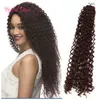 20 pouces Freetress cheveux Water Wave extensions blondes Noir, marron En vrac Crochet Loquet Crochet Tressage Cheveux synthétiques Crochet Extensions de cheveux