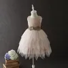 Çarpıcı Şampanya Çiçek Kız Elbise Balo Yumuşak Tül Ile Nakış Hızlı Kargo Ucuz Çiçek Kız Dres İlk Communion