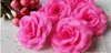 100 Uds. Cabezas de flores de rosa de seda de 8cm 16 colores para fiesta de boda decorativa Artificial simulación de seda peonía Camelia flor de rosa