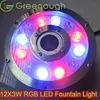 DC24V LED Fountain Light 12x3W Garden Lights RGB Underwater Swimming Pool Lighting Stainless Steel LED In ground Lamp2921