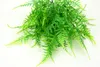 Artificial asparagus fern Simulation Asparagus Grass Corsage Green Plant for Home Decoration Wedding Green Wall Deco