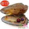 Shell Wish Pearl Oyster Vacuum Pack Oyster Wish Freshwater Pearl Pearl Olika Styles Fashion Beads Mystisk present Överraskning