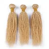 Blondin Afro Kinky Hair Bundles # 613 Platinum Blondin Djup Kinky Curly Mongolian Virgin Human Hair Top Quality Hair Weft 3pcs