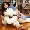 Dorimytrader jumbo en peluche anime chien husky jouet géant géant en peluche animal doux pottaine de poupée