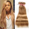 8A Nerz Brazillian Glattes Haar Bundles Farbe 27#, 99j Unverarbeitete Menschenhaarwebart Malaysisches Peruanisches Indisches Reines Haar gerade Auf Lager