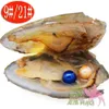 Freshwater Pearl Pearl Oyster Desire Vacuum Förpackning, 6-7 mm Double Circular Pearl Mussel Shells, 28 färger att välja mellan