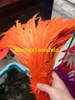 loose feathers