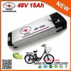 Bästsäljande bärbart 48V litiumjonbatteri 700W elektrisk cykelbatteri 48V 15Ah i Samsung 18650 Cell med BMS Li-Ion Charger