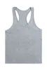 blank bodybuilding stringers