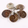 10pcs / lot exotique main ammonite naturelle conque coquille pierre pendentif perle exquise mode marron escargot agate pendentif pour mariage hommes femmes