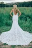 Sexig rygglös sjöjungfru bröllopsklänningar Deep Plunting Neck Full Lace Sweep Train 2016 Designade eleganta brudklänningar Custom Made3002489