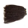 Siyah kadınlar için insan saçı uzantılarında afro kinky kıvırcık klips Malezya saçları 7 adet/set G-Easy