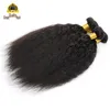 Estensioni dei capelli umani indiani peruviani malesi brasiliani di alta qualità 9A capelli lisci crespi 3/4 pezzi Lotto fasci di capelli lisci crespi