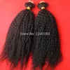 Grade 6A Unprocessed Brazilian Afro Kinky Curly Virgin Human Hair Natural Black Micro Rings Loop Kinky Hair 100g7127065