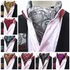 Moda Retro Paisley Cravat Lüks Erkekler Düğün Resmi Cravat İngiliz Tarzı Beyefendi boyun atkısı Boyun Kravatlar Takım Atkılar Iş Kravat