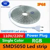 110V / 220-240V alta tensão 100m LED tiras 5050 impermeável 10m 15m 20m 25m 30m 35m 40m 50m 50m LED tiras de luz + poder suply