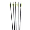 32 inch Fiberglass Target Practice Arrows with Replacement Screw-In Target Practice Point for Recurve and Compound