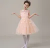 New flower girl dresses for wedding applique sleeveless princess dress light pink eal Party Pageant Communion Baby Girl Infant Dresses