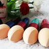 Women's Cosmetic Makeup Foundation Liquid Cream Concealer Sponge Lollipop Brush makeup brush set