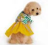 الصيف الحيوانات الأليفة جرو كلب صغير القط الحيوانات الأليفة الشريط البحرية شعار اللباس ملابس زي الملبس