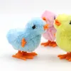 Top chain, clockwork toy chicken, plush chicken, cute baby, plush for children