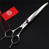 Whole75 in Swivel Thumb Professional Pet 가위 세트 일본 440C 스트레이트 얇은 곡선 가위 개 머리카락 절단 Groomin9868072