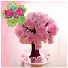 iWish 14x11cm Visual 2017 Pink Big Grow Magic Japanese Sakura Paper Tree Kit di alberi che crescono magicamente Desktop Cherry Blossom Christmas 5PCS