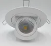 Wholesale Price 10W LED Trunk lamp Downlight COB 15W Adjustable recessed Super Bright Indoor Light 85~265V CE RoHS warranty 2 year