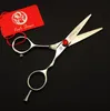 528 5039039 Brand Purple Dragon Professional Frisörsax med väska 440C Home Salon Barber039s Cutting Scissor2511461