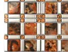 La fornitura di piastrelle a mosaico in vetro cristallo di fascia alta per TV, spot a parete intero D976F78207383395579