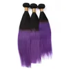 Two Tone 1B/Purple Ombre Malaysian Human Hair Weaving Straight 3Pcs Dark Root Purple Ombre Virgin Remy Human Hair Bundles Double Wefts