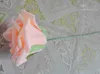 12 cores 7 cm artificiais subiu flores buquê de noiva casamento espuma pe diy home decor rose flores g622