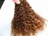 Malaysia Virgin Curly Hair Weaves Queen Hair Products Naturliga svarta Human Hair Extensions 1Bundar En mycket skönhetsväv