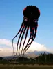 Klassieke 3D-ogen 15m zwart 1 lijn Stunt Parafoil Octopus Power Sport Kite