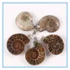 10pcs / lot exotique main ammonite naturelle conque coquille pierre pendentif perle exquise mode marron escargot agate pendentif pour mariage hommes femmes