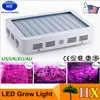 High Power 600W 800W 1000W Double Chip Full Spectrum LED Grow Light Panel Kit For Greenhouse Plant Veg AC 85-265V