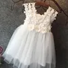 Baby Girls Tutu Dress Lace Dresses Children Prubcess Sequins Klänningar För Barnkläder Vinter Sommar Party Dress Girl Dresses