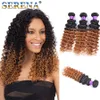Ombre Indian Hair Deep Curls 100% Menselijk Haar Weave Peruviaanse Maleisische Diepe Golf Krullend 3pcs Ombre Extension 1b 30 goedkope Hair Extensions
