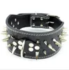 D57 Pet Collar Dog Collar Pet Leather Collar / W Spike Design för stora hundar Högkvalitativ gratis frakt