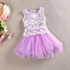Summer Baby Girl Dress 2016 Nueva Princesa Dress Baby Girls Party para Toddler Girl Vestidos Ropa tutu Ropa de Niños