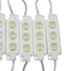 Injektion ABS Plastic LED -moduler 3LEDS 5050 SMD Vattentät Ultra Brigth String Warm Pure Red Blue Green DC 12V