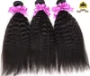 Top Quality 9A Kinky Straight Hair Brazilian Malaysian Peruvian Indian Human Hair Extensions 3/4 pcs Lot Kinky Straight Hair Bundles