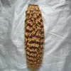 Brazilian Kinky Curly Hair Weave Bundles Honey Blonde Weave Hair 100g Honey Blond Brazilian Hair Weave