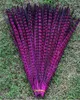 Wholesale 100Pcs/lot beautiful natural pheasant tail feathers 30-35cm/12-14inches