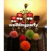 Tissue Paper Pom Poms Paper Lantern Pom Pom Blooms Flower Balls