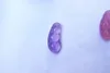 Le collier pendentif sculpté à la main en agate naturelle violette quatrième haricot (paix des quatre saisons)