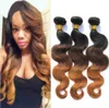 Indiskt hår 3 buntar 1b 4 30 Tre Ton Ombre Hair Weave Raw Indian Human Hair Ombre Body Wave Tissage Ombre Mänskligt Hår